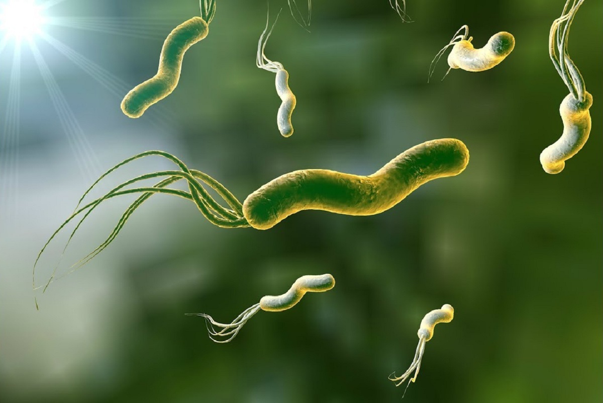 A Natural Helicobacter Pylori Treatment