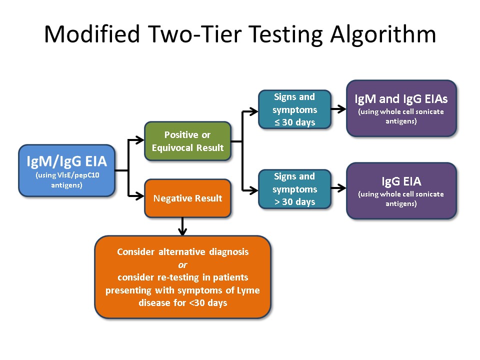 modified two tier testing algorithm elli theel